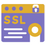 SSL Sertifikası